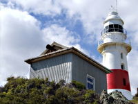 Book Low Head Accommodation Vacations Attractions Melbourne Attractions Melbourne