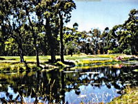 Book Smithton Accommodation Vacations Attractions Melbourne Attractions Melbourne