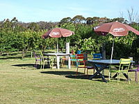 Cerise Brook Orchard  Family Golf