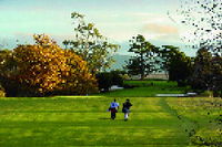Book Hagley Accommodation Vacations Attractions Melbourne Attractions Melbourne