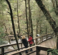 Franklin River Nature Trail - Attractions Melbourne