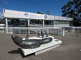 Australia's Antarctic Headquarters - Attractions Melbourne 0