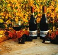 Craigow Vineyard - Attractions Melbourne