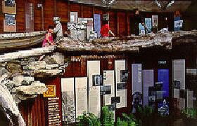 West Coast Visitor Information And Booking Centre - Attractions Melbourne 0