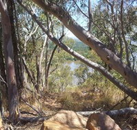 Black Mountain - Attractions Melbourne