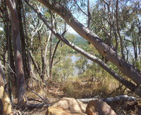 Black Mountain - Attractions Melbourne 0