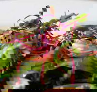 Courgette - Attractions Melbourne