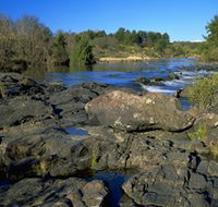 Pine Island to Point Hut Reserve - Attractions Melbourne