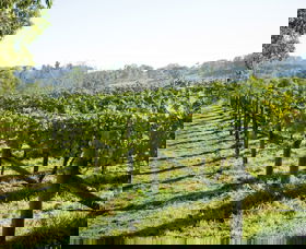 Surveyor's Hill Vineyards - Attractions Melbourne 0