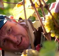 Puddleduck Vineyard - Attractions Melbourne