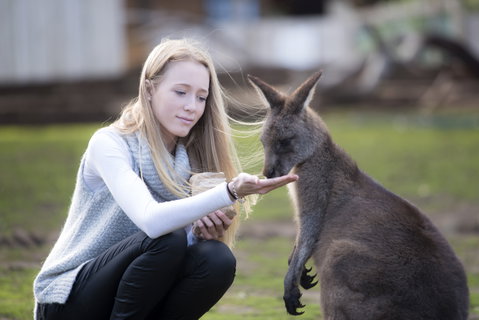 Bonorong Wildlife Sanctuary - Attractions Melbourne 0