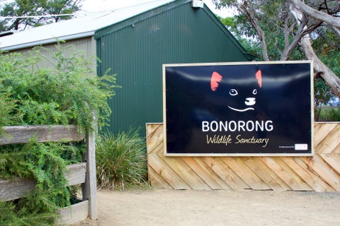 Bonorong Wildlife Sanctuary - Attractions Melbourne 1