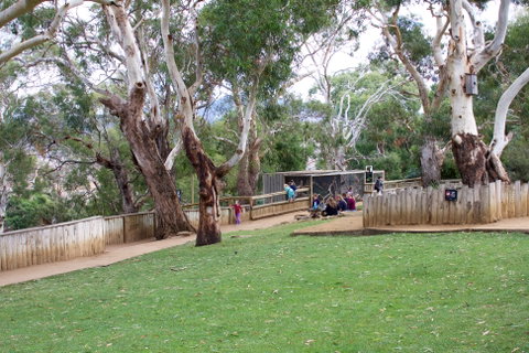 Bonorong Wildlife Sanctuary - Attractions Melbourne 2