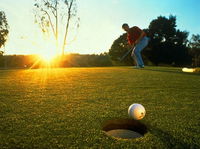 Book Currie Accommodation Vacations Attractions Melbourne Attractions Melbourne