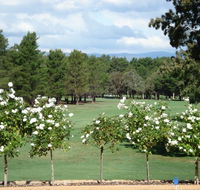 RMC Golf Club - Attractions Melbourne