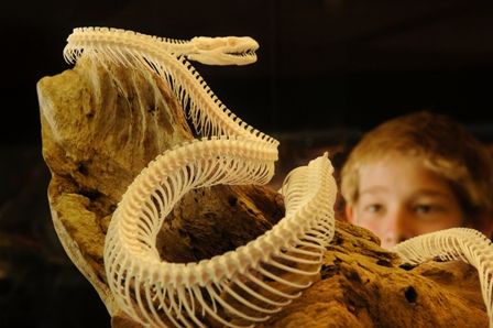 Araluen Cultural Precinct - Attractions Melbourne 4