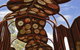 Araluen Cultural Precinct - thumb 5