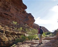 Book Kings Canyon Accommodation Vacations Attractions Melbourne Attractions Melbourne