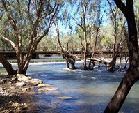Low Level Nature Reserve