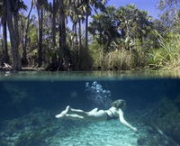 Bitter Springs