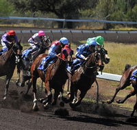 Alice Springs Turf Club - Attractions Melbourne