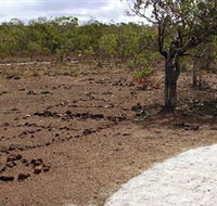 Wurrwurrwuy Garanhan Macassan Beach Interpretive Walk - Attractions Melbourne