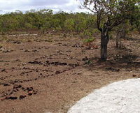 Wurrwurrwuy Garanhan Macassan Beach Interpretive Walk