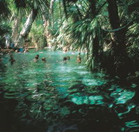 Mataranka Thermal Pool - Attractions Melbourne
