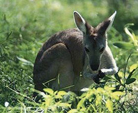 Attractions Melbourne