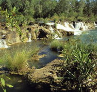 Flora River Nature Park - Attractions Melbourne