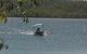 Manton Dam Recreation Area - thumb 0