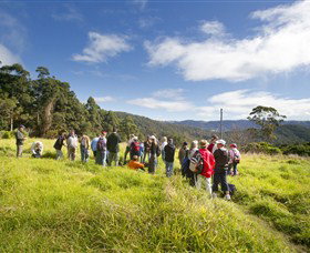 Springbrook QLD Attractions Melbourne