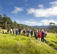 Apple Tree Park - Attractions Melbourne