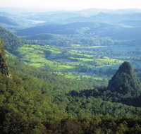 Springbrook Plateau Springbrook National Park - Attractions Melbourne