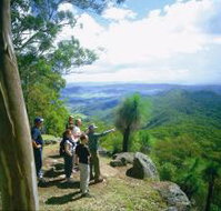 Gold Coast Hinterland Great Walk - Attractions Melbourne