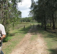 Coombabah Lakes Conservation Area - Attractions Melbourne