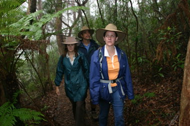 Mount Cougal, Springbrook National Park - Attractions Melbourne 0