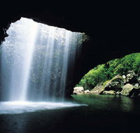 Natural Bridge Springbrook National Park - Attractions Melbourne