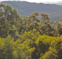 Conondale National Park - Attractions Melbourne