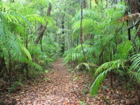 Delicia Road Conservation Park - Attractions Melbourne 0