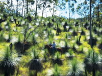 Book Kilkivan Accommodation Vacations Attractions Melbourne Attractions Melbourne