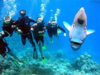 Magic Mountain Dive Site