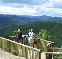 Kenilworth Forest Reserve - Attractions Melbourne