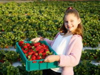 Strawberry Fields