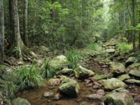 Book Amamoor Accommodation Vacations Attractions Melbourne Attractions Melbourne