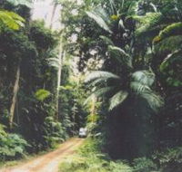 Conondale Great Walk - Attractions Melbourne