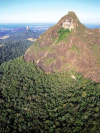 Mount Beerwah Track