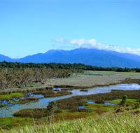 Eubenangee Swamp National Park - Attractions Melbourne