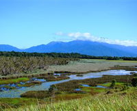 Book Babinda Accommodation Vacations Attractions Melbourne Attractions Melbourne