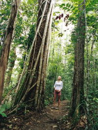 Wet Tropics